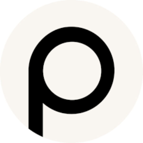 Pioneer Finance